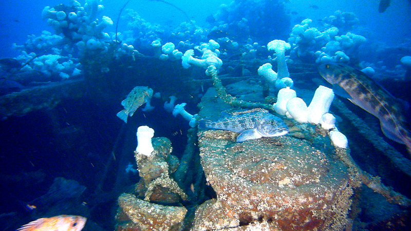 The 1000 horse power triple-expansion steam engine inside the hull of the shipwreck USS Conestoga. Credit: NOAA ONMS/Teledyne SeaBotix